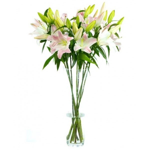 Pink Oriental Lilies for Home or Office